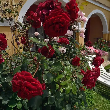 Eleni 3* Roda (Corfu)